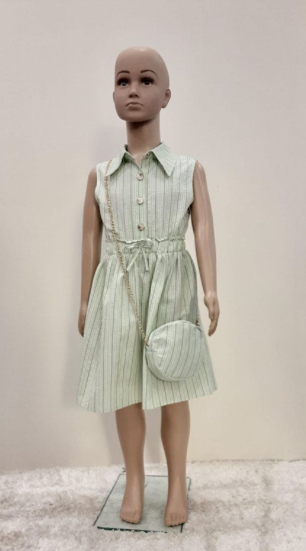 Girls Stripe Collared Dress With Bag Green